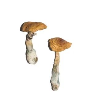 Cocaine Capsules