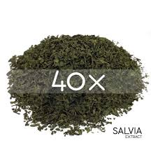 Cannabis